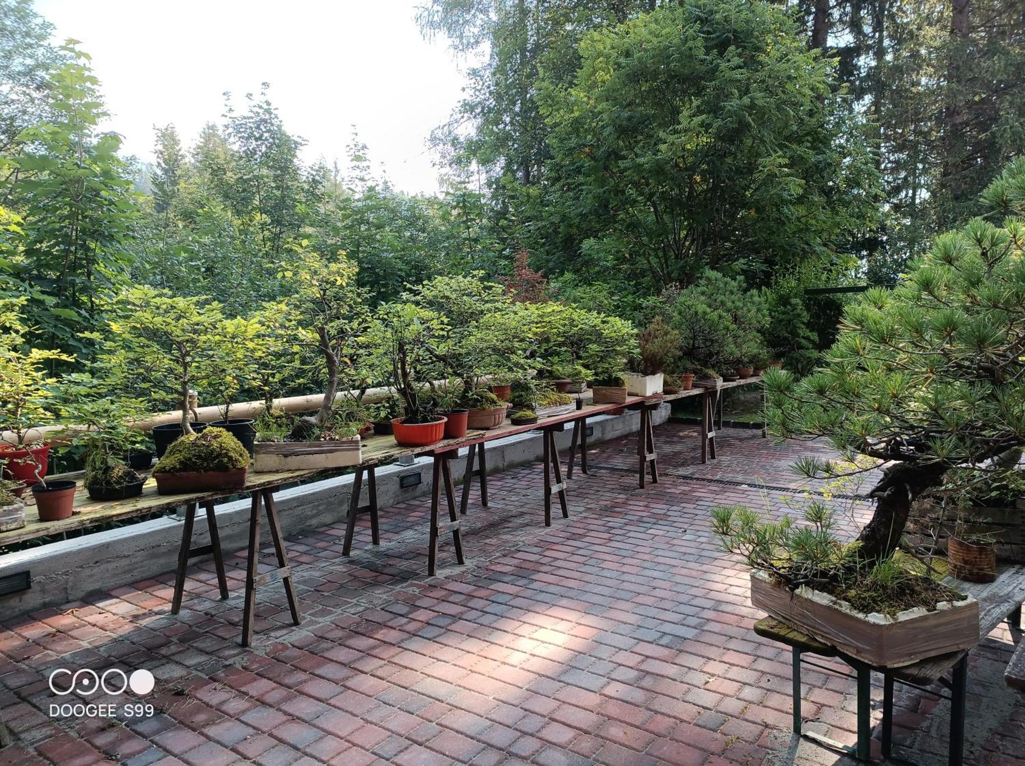 Park Hotel Arnica Falcade Ngoại thất bức ảnh